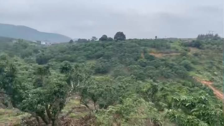 Mảnh vườn Farm Tân Lập Lục Ngạn 2076m² giá 1 tỷ - Cơ hội đầu tư tuyệt vời!