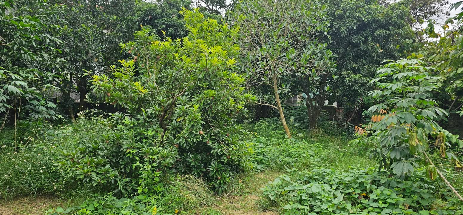 Đất thổ cư Đông Minh Đông Sơn 612m² giá chỉ 2.7 tỷ - Gần nhiều tiện ích