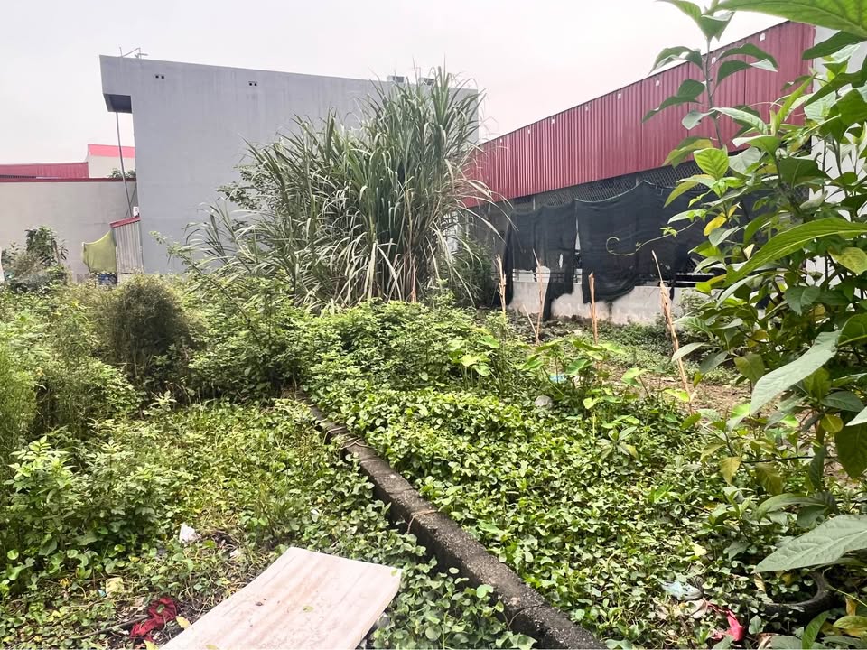 Đất nền Đồng Văn, Duy Tiên 130m² giá thỏa thuận - Vị trí đắc địa, kinh doanh thuận lợi!