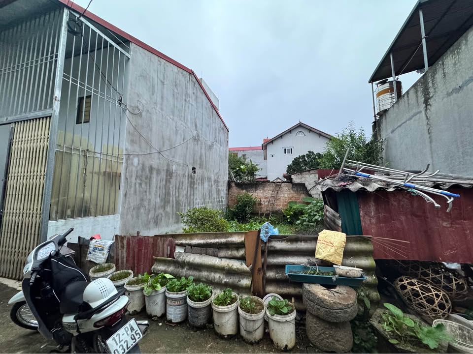 Đất đẹp bán gấp tại đường Trần Đăng Ninh, phường Tam Thanh, 60m² chỉ 900 triệu!