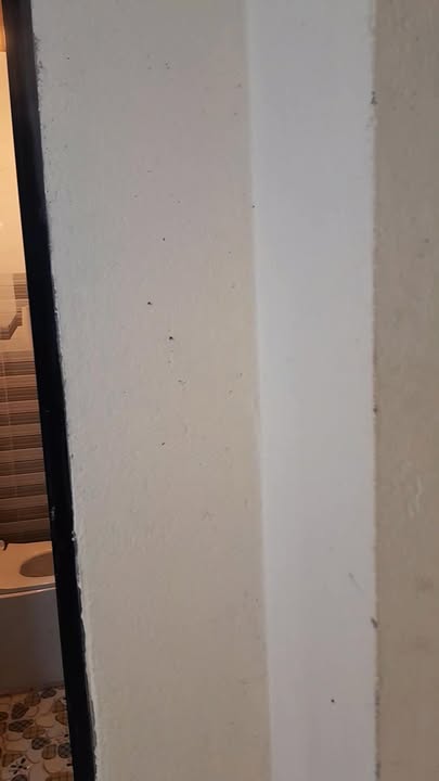 Căn hộ mini cho thuê Đà Lạt 2.2 triệu - Sẵn sàng vào ở!