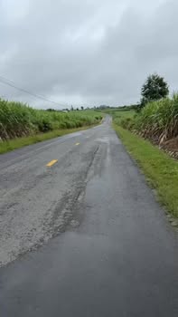 Đất mặt tiền Quốc lộ 29, Krông Năng 1200m² giá 780 triệu - Cơ hội đầu tư tuyệt vời!