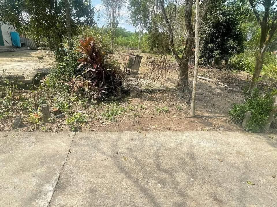 Đất nền Phong Điền 165m² giá chỉ 400 triệu - Địa điểm vàng không ngập lụt!