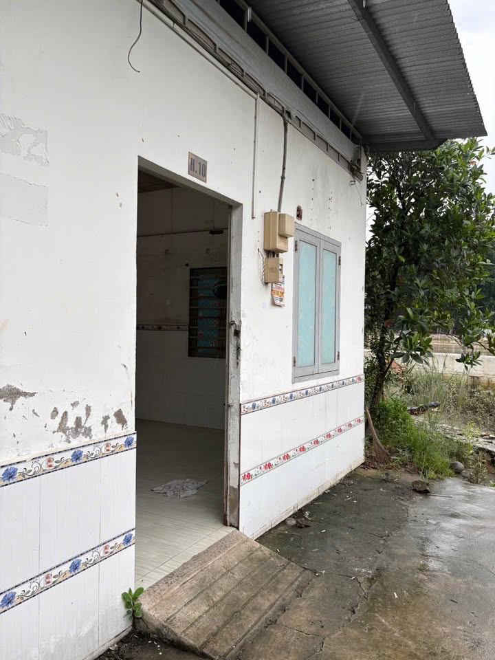 Nhà nguyên căn cho thuê đường Bông Sao, Q8 33m² giá chỉ 3.8 triệu - Tiện nghi đầy đủ!