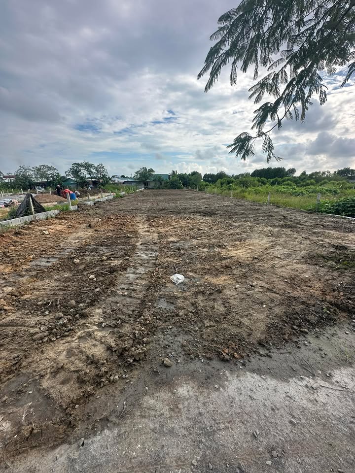 Đất nền Long Hòa Cần Giờ 1000m² - Giá tốt, sổ đỏ chính chủ!