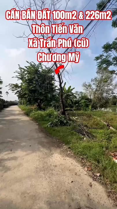 Đất nền liền kề 100m² tại Hoàng Văn Thụ chỉ 2 tỷ - Cơ hội đầu tư không thể bỏ lỡ!