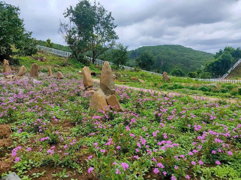 Đất nông nghiệp Trạm Hành Đà Lạt 1218m² giá 1.5 tỷ - View săn mây tuyệt đẹp!