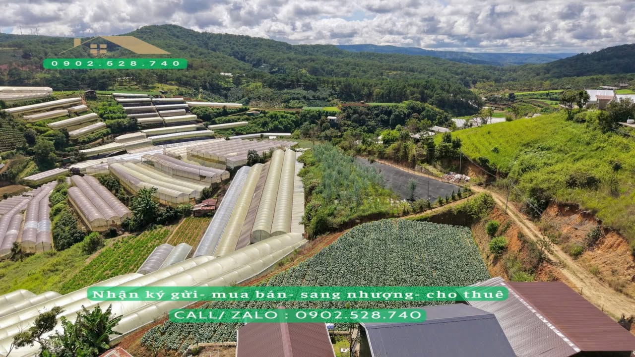 Đất nền Xuân Thọ Đà Lạt 1.394m² giá 4.5 tỷ - View đẹp, sổ hồng chính chủ!