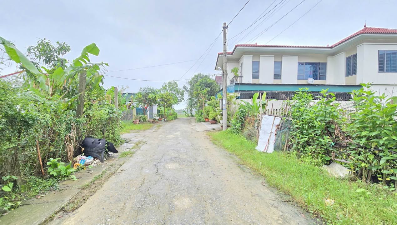 Đất TDP Đoài Thịnh, Thạch Trung 117m² giá thỏa thuận - Vị trí đắc địa gần trung tâm!