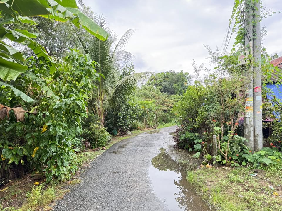 Đất nền Bình Đức, Long Xuyên 99m² giá 1.2 tỷ - Sổ hồng chính chủ, nhanh gọn!