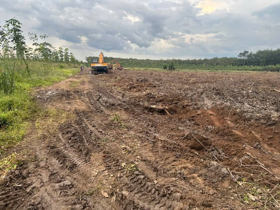 Đất trống Phước Hòa 1.7ha giá 6 tỷ - Mặt tiền rộng 100m