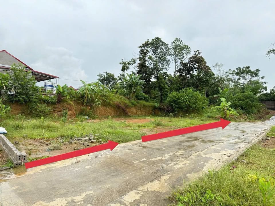 Đất nền thổ cư tại Ngọc Lương, Yên Thủy - Chỉ 200 triệu - Sổ đỏ chính chủ!