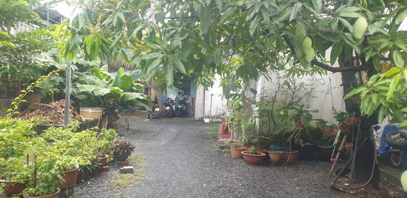 Đất Hiệp Bình Chánh Thủ Đức 999m² giá 68 tỷ - Tiềm năng đầu tư cực lớn!