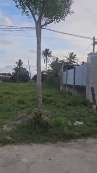 Đất thổ cư Cam Phúc Bắc 396m² giá chỉ 1.5 tỷ - Cơ hội đầu tư tuyệt vời!