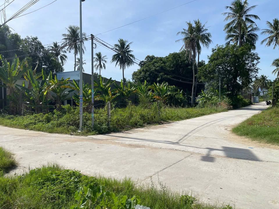 Đất mặt tiền Cam Phúc Bắc 200m² giá 2 tỷ - Sổ hồng chính chủ, đầu tư lý tưởng!