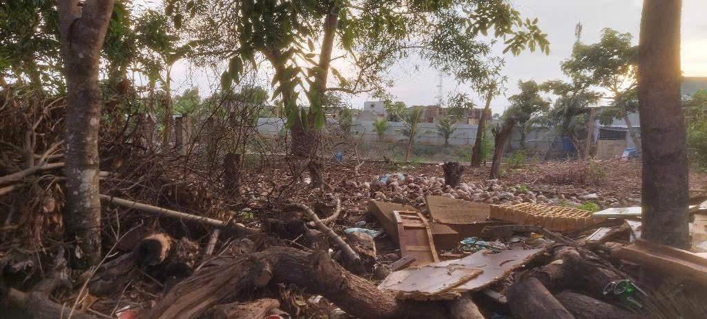 Đất thổ cư 270m² hẻm xe hơi Lê Văn Lương - Nhà Bè giá 6 tỷ - Đầu tư sinh lời!