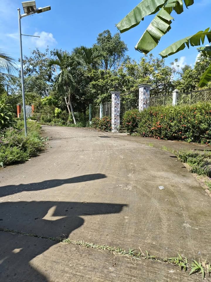 Đất vườn phường Tân Hạnh Vĩnh Long 2194m² giá 899 triệu - Tiềm năng phát triển cao!