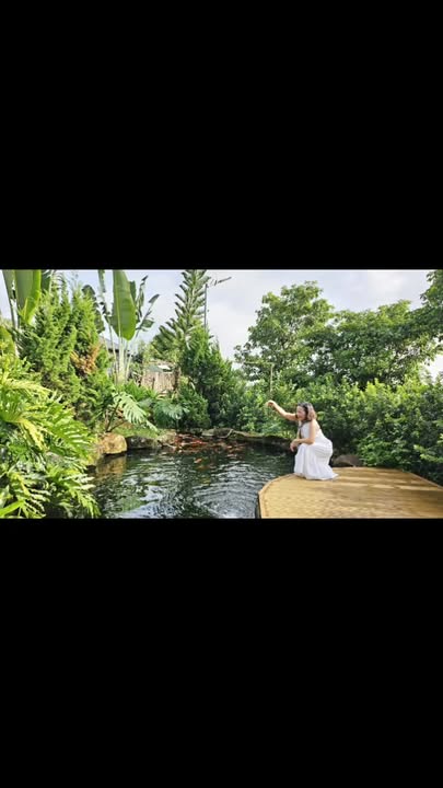 Farm Hồ Tiên Homestay Bảo Lộc 5000m² - Nơi nghỉ dưỡng lý tưởng giá chỉ 500k/ngày!