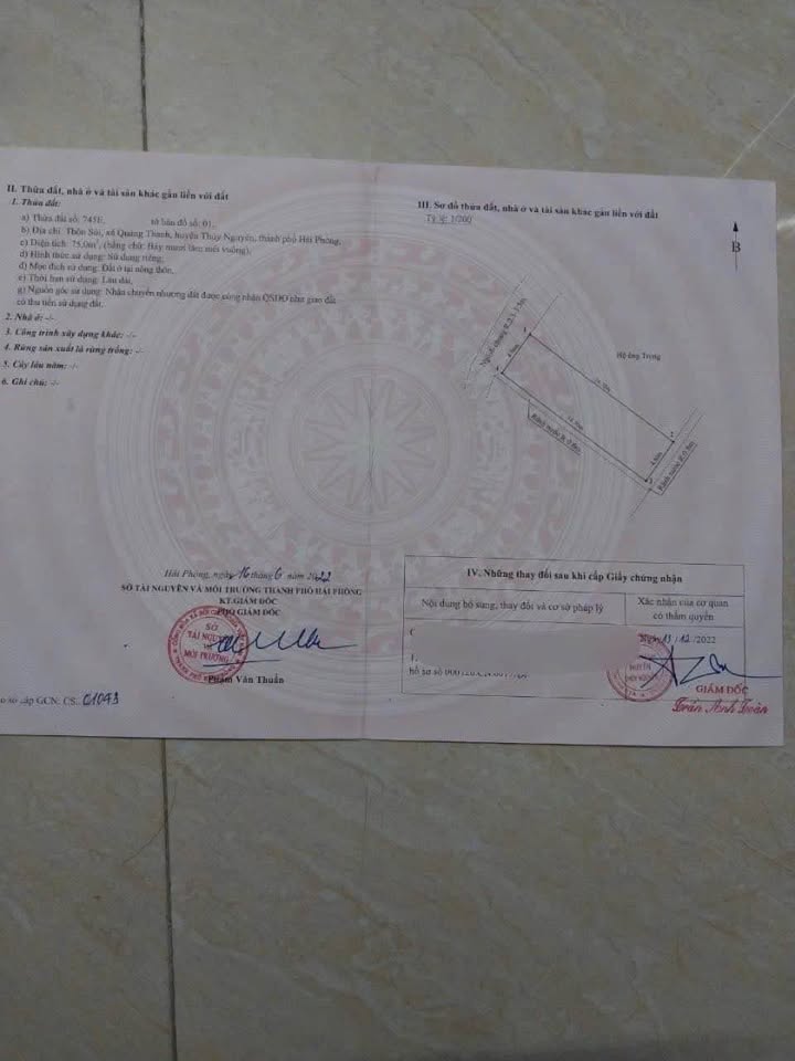 Đất nền Quảng Thanh, Thủy Nguyên 75m² giá 800 triệu - Đường ô tô vào tận nơi!