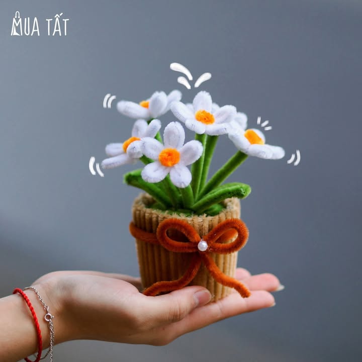 Đất mặt tiền Quốc lộ 54, xã Tân Quới, Vĩnh Long, diện tích 10x153m - Cơ hội đầu tư tuyệt vời!