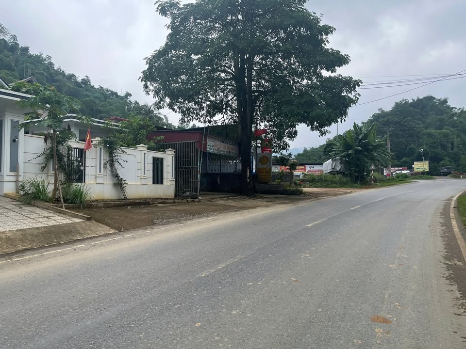 Đất thổ cư 620m² tại thôn Trúc, xã Điền Trung - Giá thỏa thuận hấp dẫn!