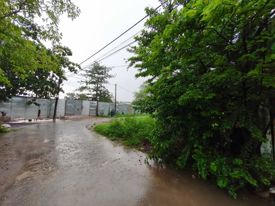 Đất mặt tiền đường Số 2, phường Long Phước, 1374m² giá 39 tỷ - Cơ hội đầu tư tuyệt vời!