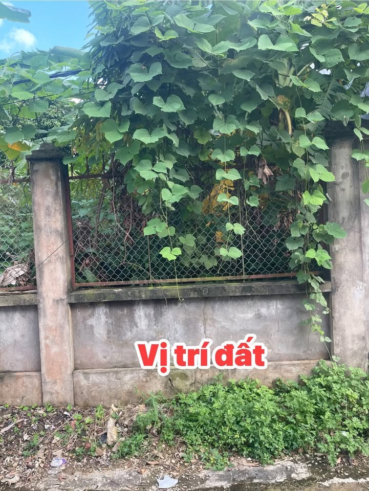 Đất nền trung tâm Thị trấn Thắng, Bắc Giang 108m² - Đầu tư sinh lời cao!