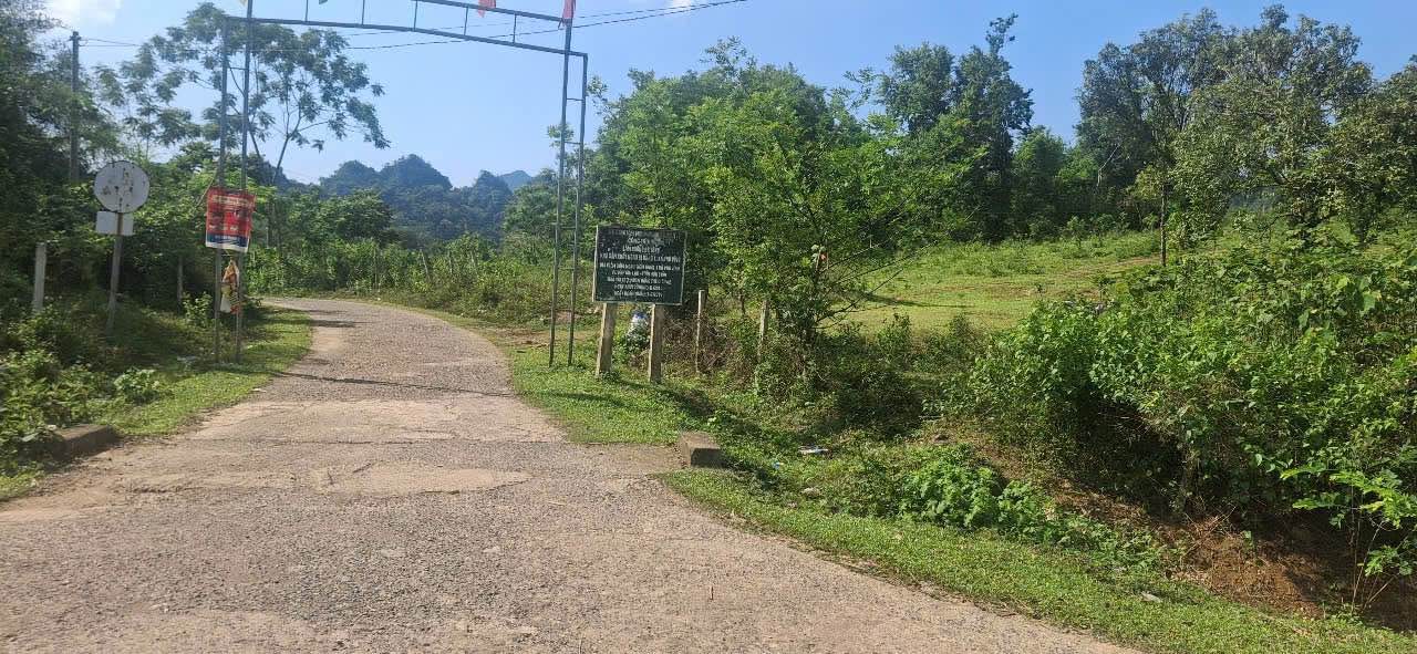 Đất nền Phú Vinh Tân Lạc 5400m² giá 2 tỷ - Đầu tư sinh lời ngay!