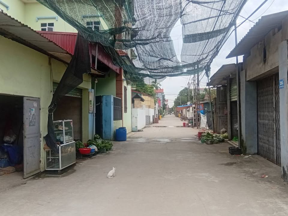 Đất nền Quang Tiến Sóc Sơn 60m² giá 2.1 tỷ - Cơ hội đầu tư tuyệt vời!