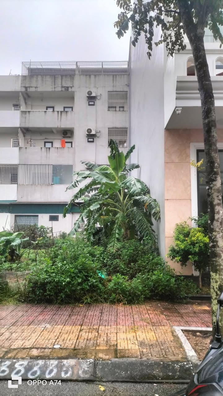 Lô đất đẹp khu A TDC Vũ Phúc 82m² giá 4 tỷ - Đầu tư sinh lời ngay!