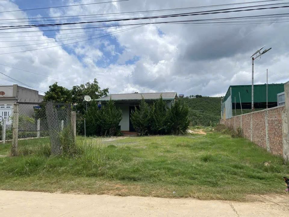 Farm 6000m² tại TDP An Lạc, Đinh Văn, Lâm Hà giá 3.5 tỷ - Cơ hội đầu tư tuyệt vời!