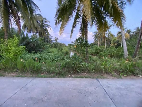 Đất nền An Hội, Giồng Trôm 3755m² - Sổ hồng chính chủ, giá chỉ 1 triệu/m²!