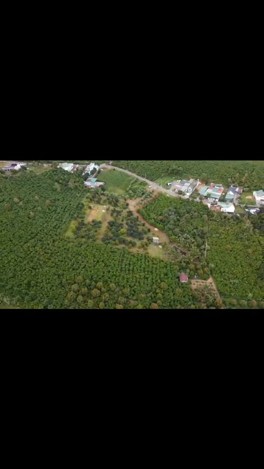 Đất nền Lộc Nga, Bảo Lộc 8643m² giá 13.2 tỷ - Đầu tư nghỉ dưỡng lý tưởng!