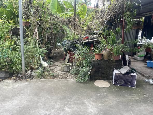 Đất Phúc Thịnh, Đông Anh 61.1m² giá 5.7 tỷ - Sổ đỏ chính chủ, pháp lý chuẩn!