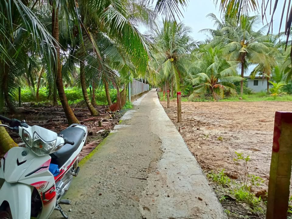 Đất nền Chợ Gạo Tiền Giang 330m² giá 295 triệu - Đầu tư sinh lời tốt!