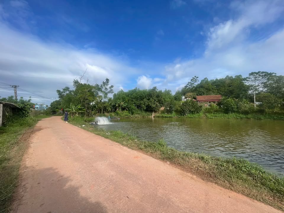 Đất vườn An Dương Tân Yên 1400m² giá 3 tỷ - Mặt tiền 47m, sẵn ao