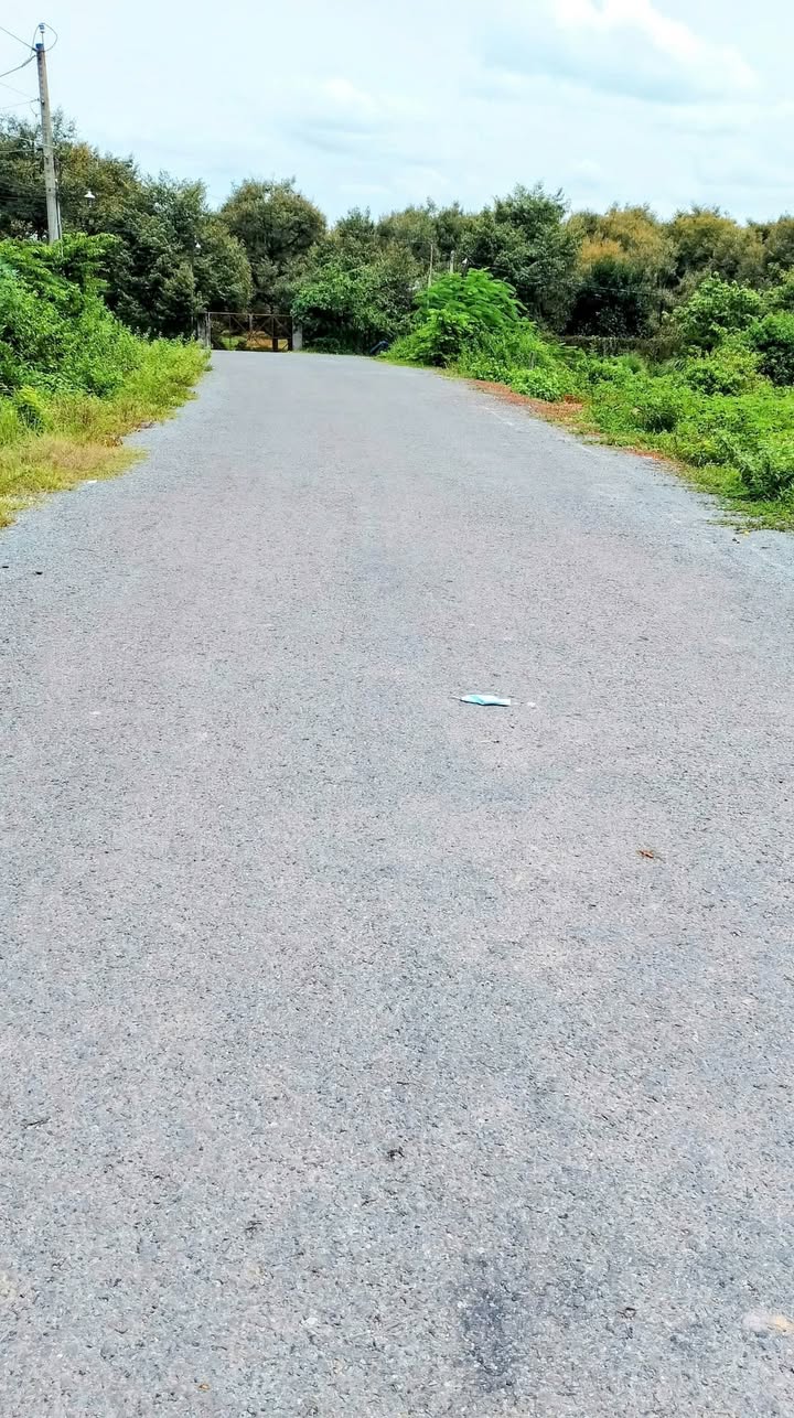 Đất mặt tiền đường Trần Văn Trà, Tân Hòa, Tây Ninh 297m² - Sổ đỏ chính chủ, giá 1.1 tỷ!