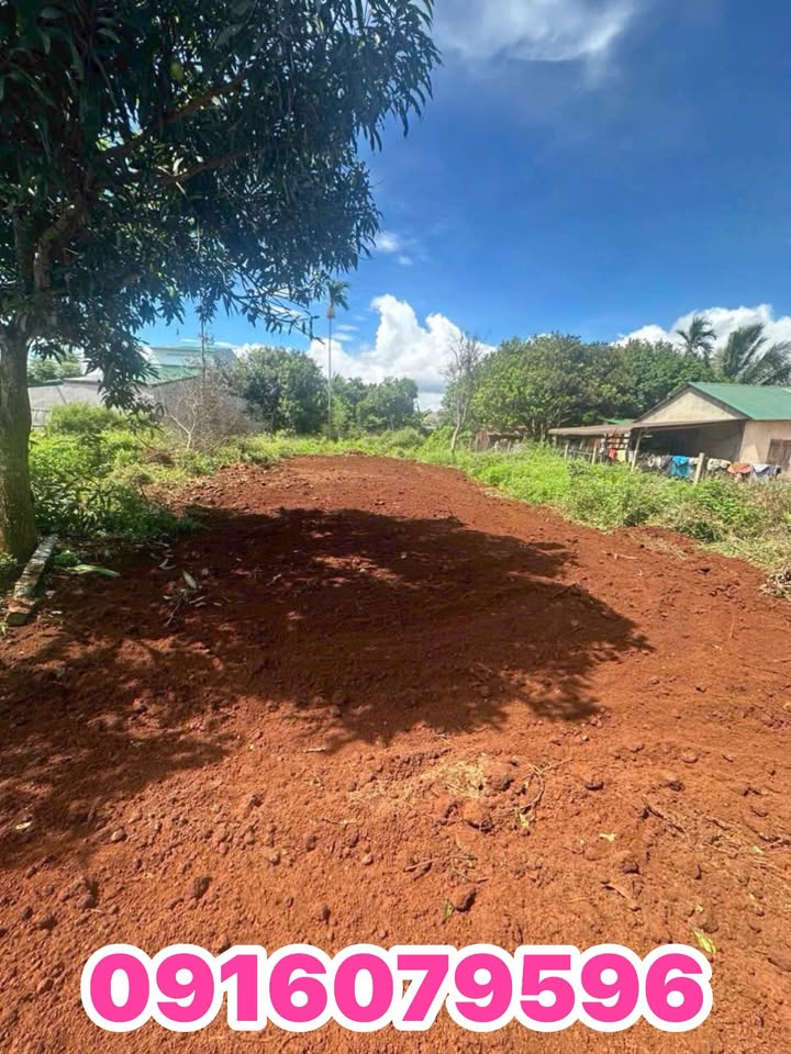 Đất thổ cư mặt tiền đường D5, Tân An, Buôn Ma Thuột 147m² giá 1.17 tỷ - Kinh doanh thuận lợi!