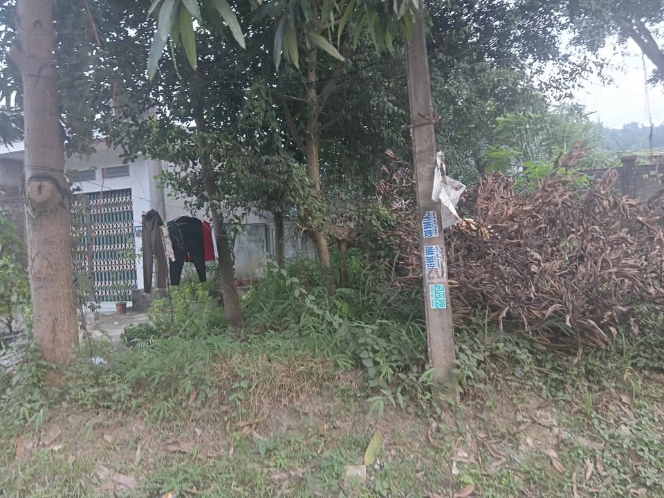 Đất nền Lào Cai 80m² giá 1.42 tỷ - Cơ hội đầu tư hấp dẫn!