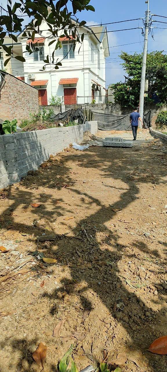 Đất nền Sơn Đông, Sơn Tây 80m² giá 1 tỷ - Đường ô tô, kinh doanh thuận lợi!