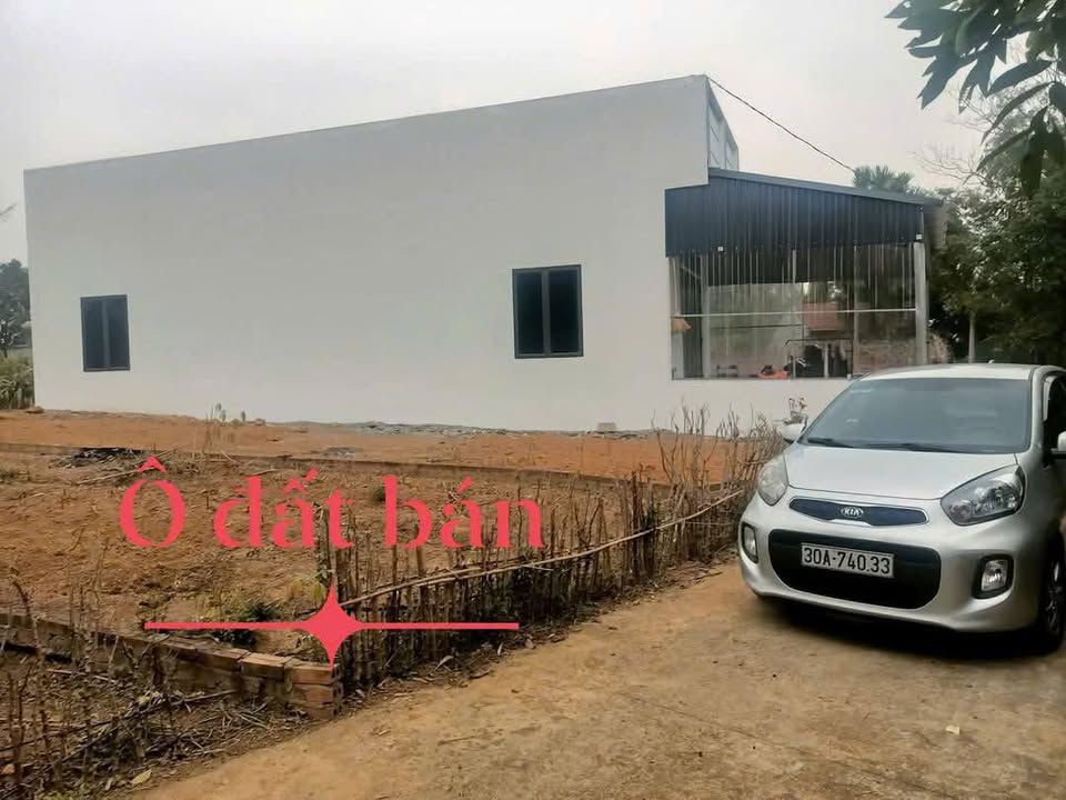 Đất nền 100m² tại Thanh Đình, Việt Trì - Đầu tư sinh lời ngay!