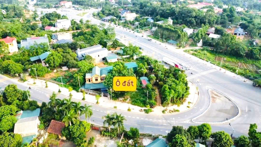 Đất mặt đường Lạc Hồng, Việt Trì 300m² giá 2.98 tỷ - Kinh doanh và ở ngay!