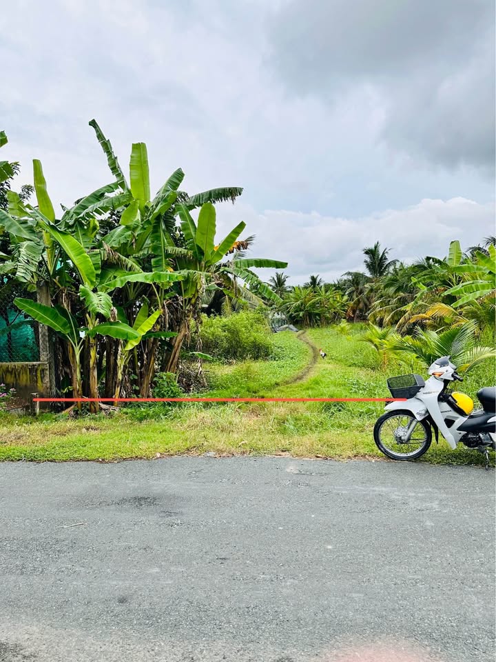 Đất nền 300m² mặt tiền đường Đỗ Văn Giàu, Tân An - Giá 2.3 tỷ - Cơ hội đầu tư tuyệt vời!