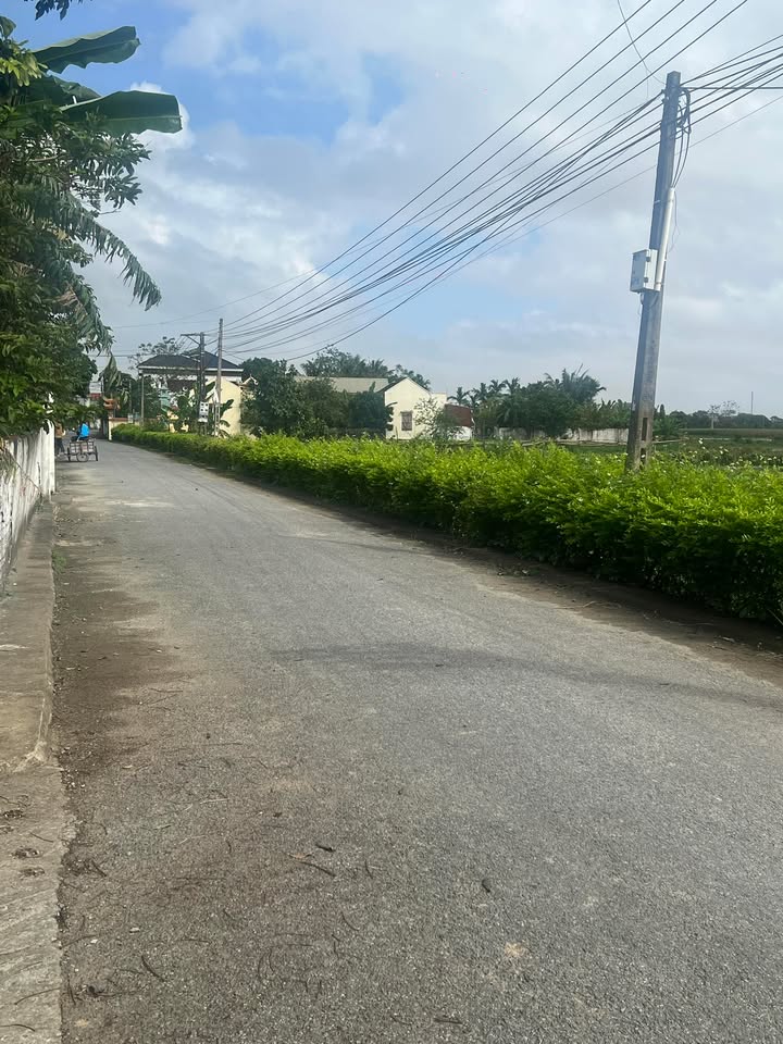 Đất nền Hậu Lộc 175m² giá đầu tư - Cần bán gấp!