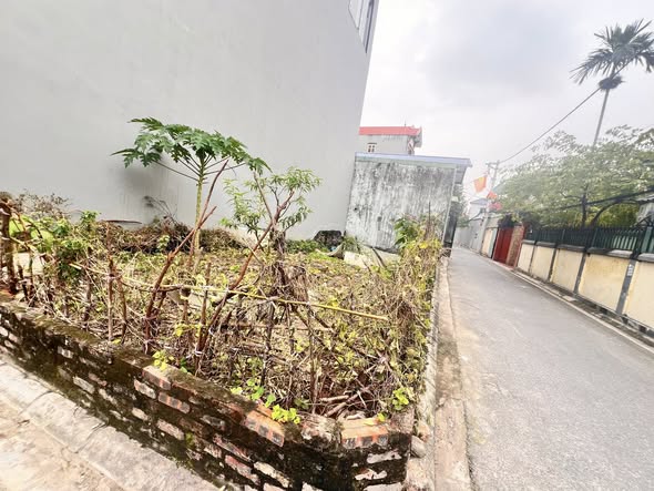 Bán đất xã Thiên Lộc, Đông Anh 51m² - Ô tô tránh, pháp lý chuẩn!