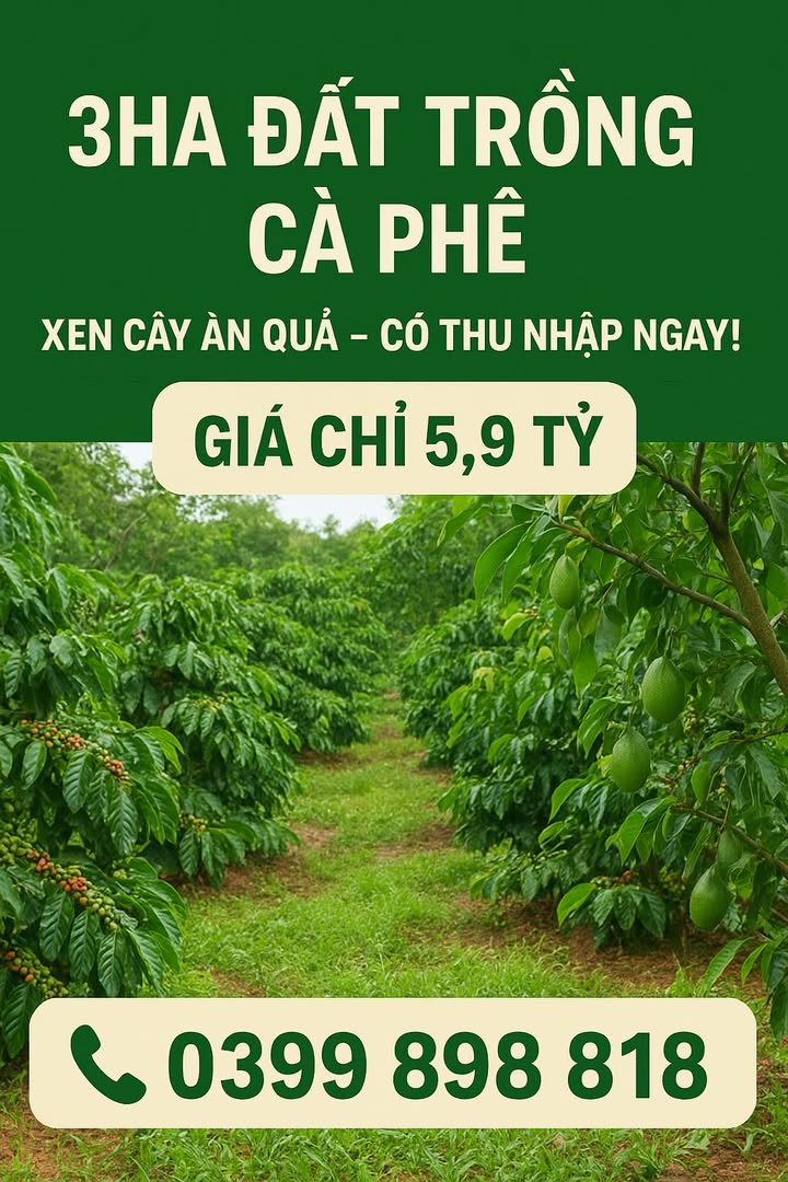 Đất Farm 3ha Chiềng Sinh Sơn La giá chỉ 5.9 tỷ - Đầu tư sinh lời hiệu quả!