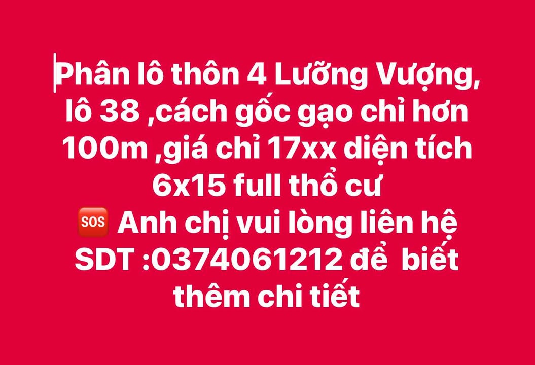 Đất thổ cư Lưỡng Vượng Tuyên Quang 90m² giá 1.7 tỷ - Vị trí gần gốc gạo!