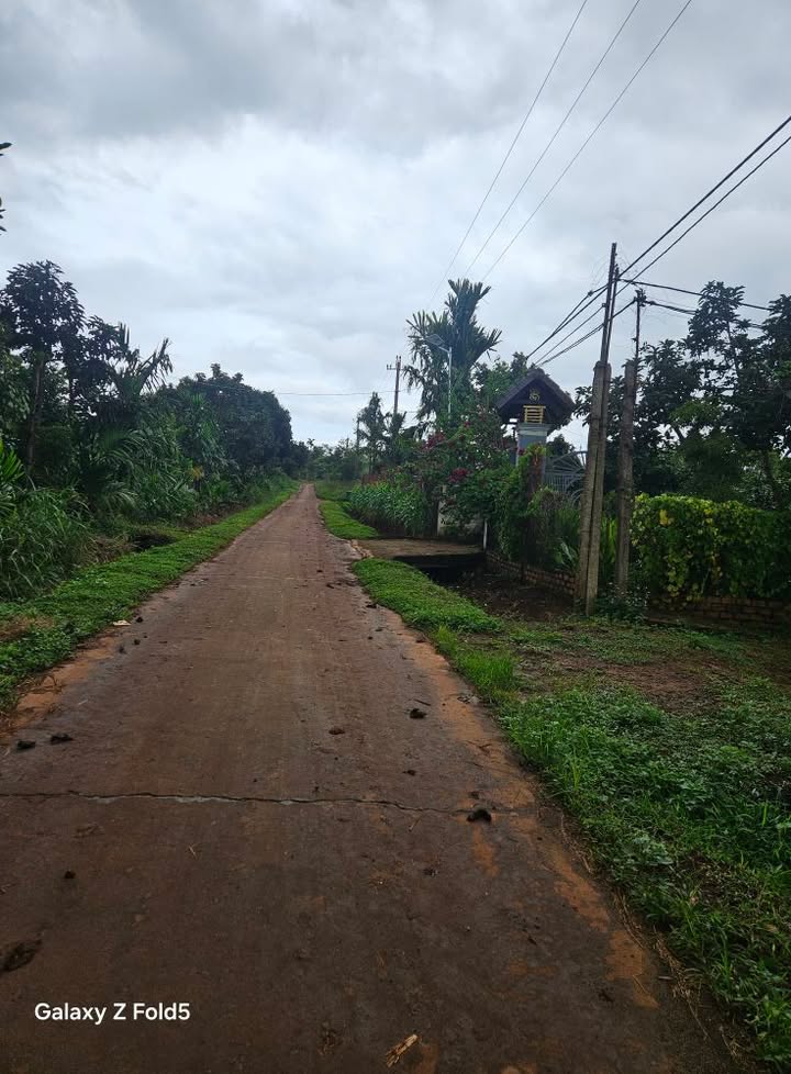 Đất nền Phú Xuân Krông Năng 364m² chỉ 4xx triệu - Cơ hội đầu tư hấp dẫn!