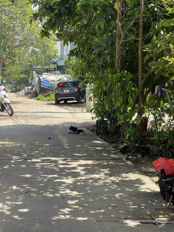 Đất lô góc 120m² tại Thanh Tây, Cẩm Châu, Hội An - Giá chỉ 2.6 tỷ!