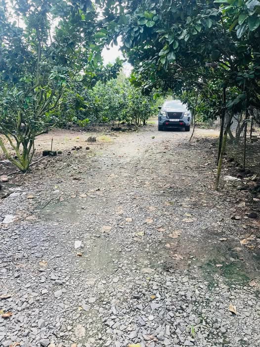 Đất nền 2 xào 3 tại xã Phú Hòa, Đồng Nai - Mặt tiền đường đá mi, chỉ 800 triệu!